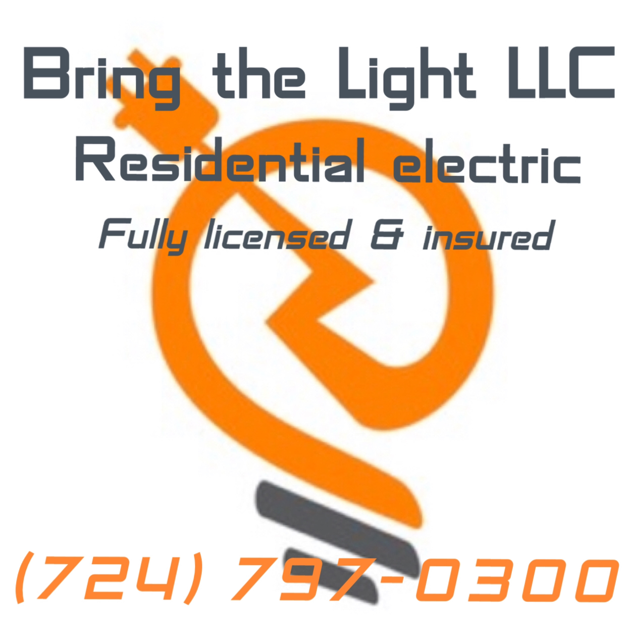 Avatar for Bring the Light LLC