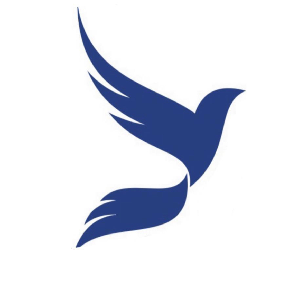 Logo for Swiftly Clean