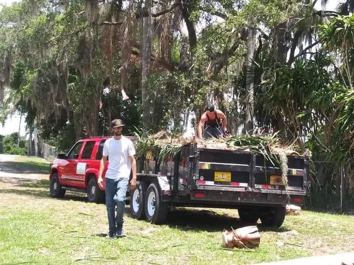 Avatar for A & D TREE TRIMMING & LANDSCAPING SERVICES