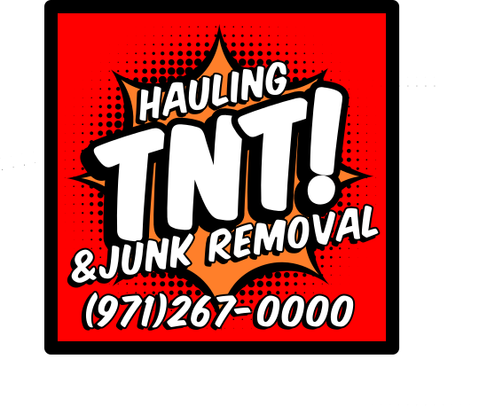 Logo for TNT Enterprises LLC (Doing business as TNT Hauling/Junk Removal)