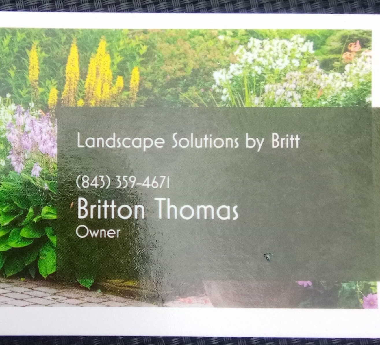 Avatar for Britton Thomas landscaping