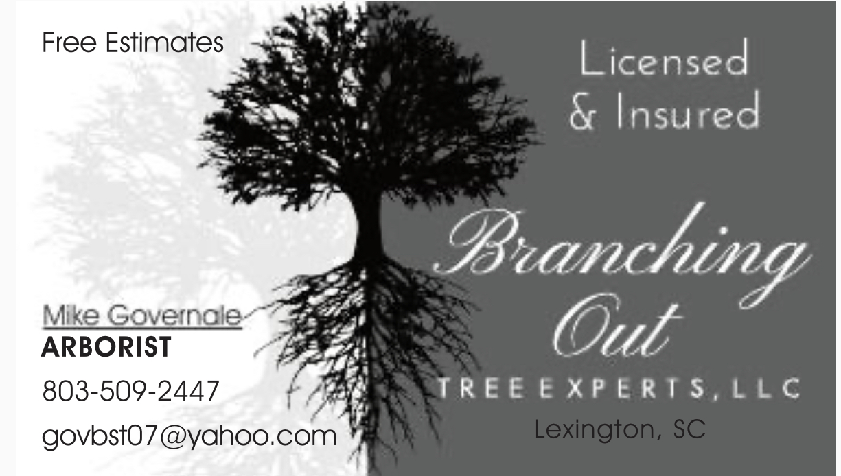 Logo for Branching Out Tree Experts