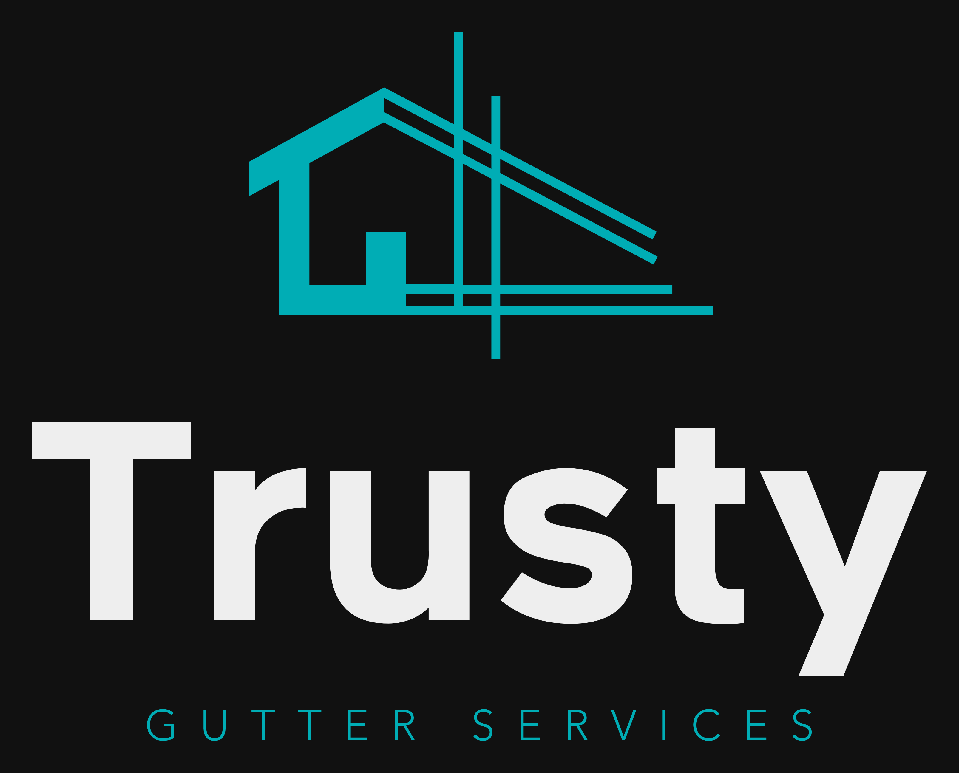 Trusty Gutter Services LLC logo