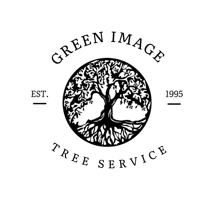 Avatar for The cleaning spot