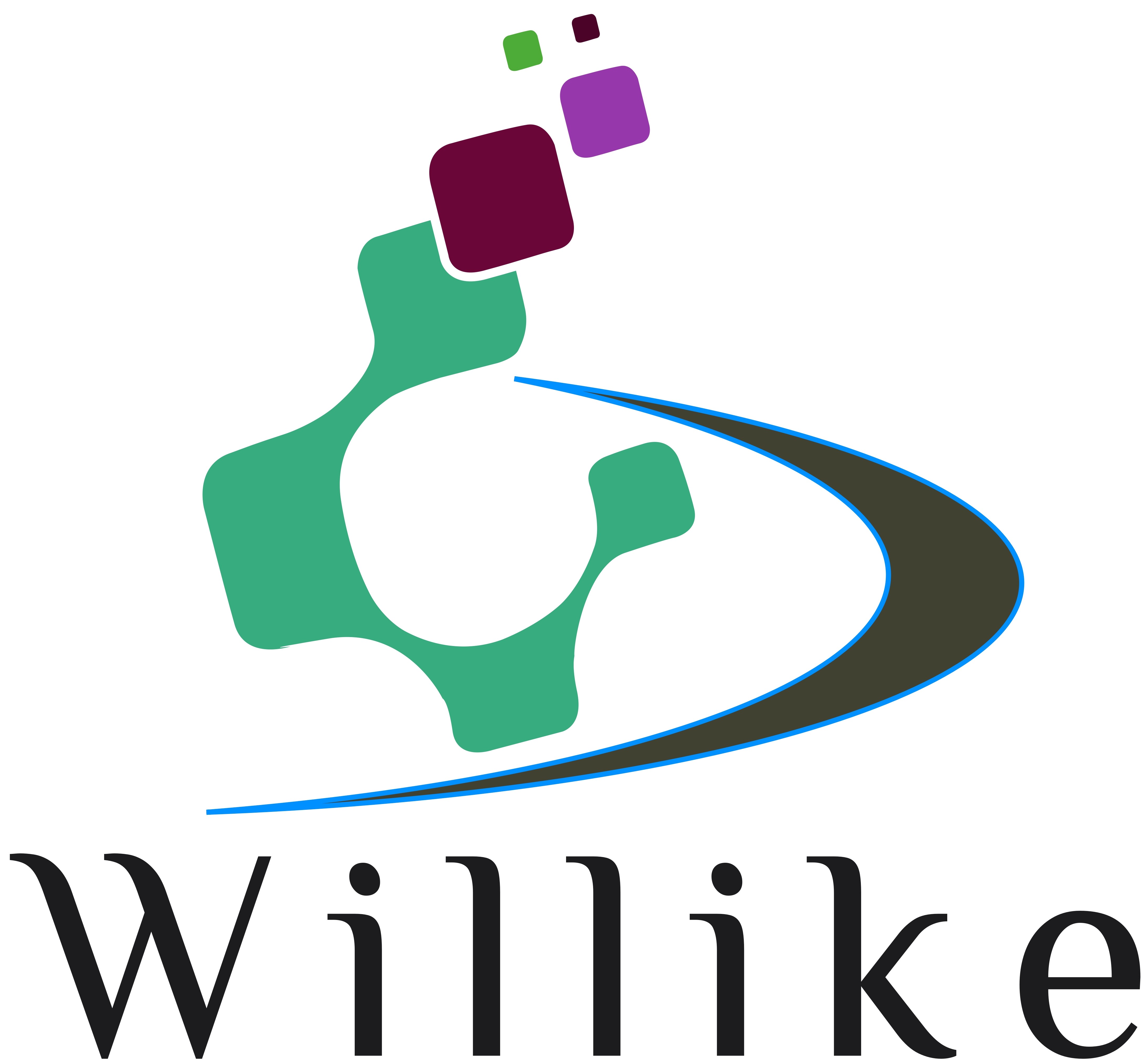 Logo for Willike Solutions, LLC