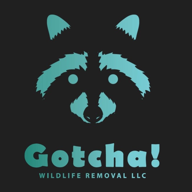 Logo for Gotcha Wildlife Removal LLC
