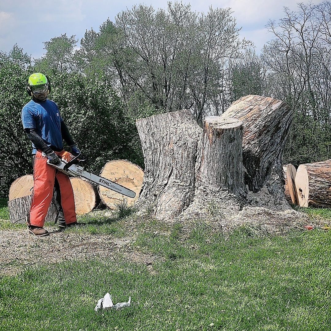 Richard's Tree Service logo