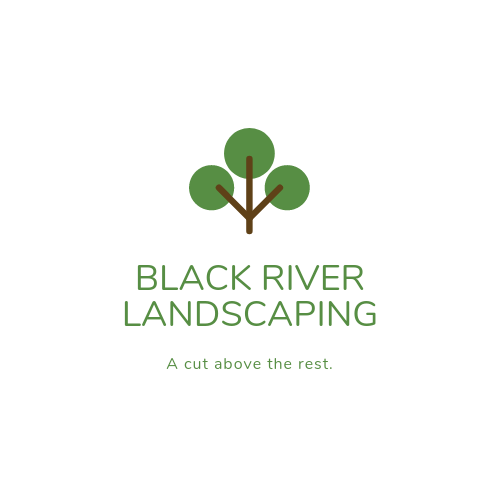 Avatar for Black River Service and Design, LLC