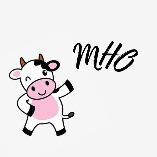MHObyAmaris (MARE'S HOME ORGANIZING) logo