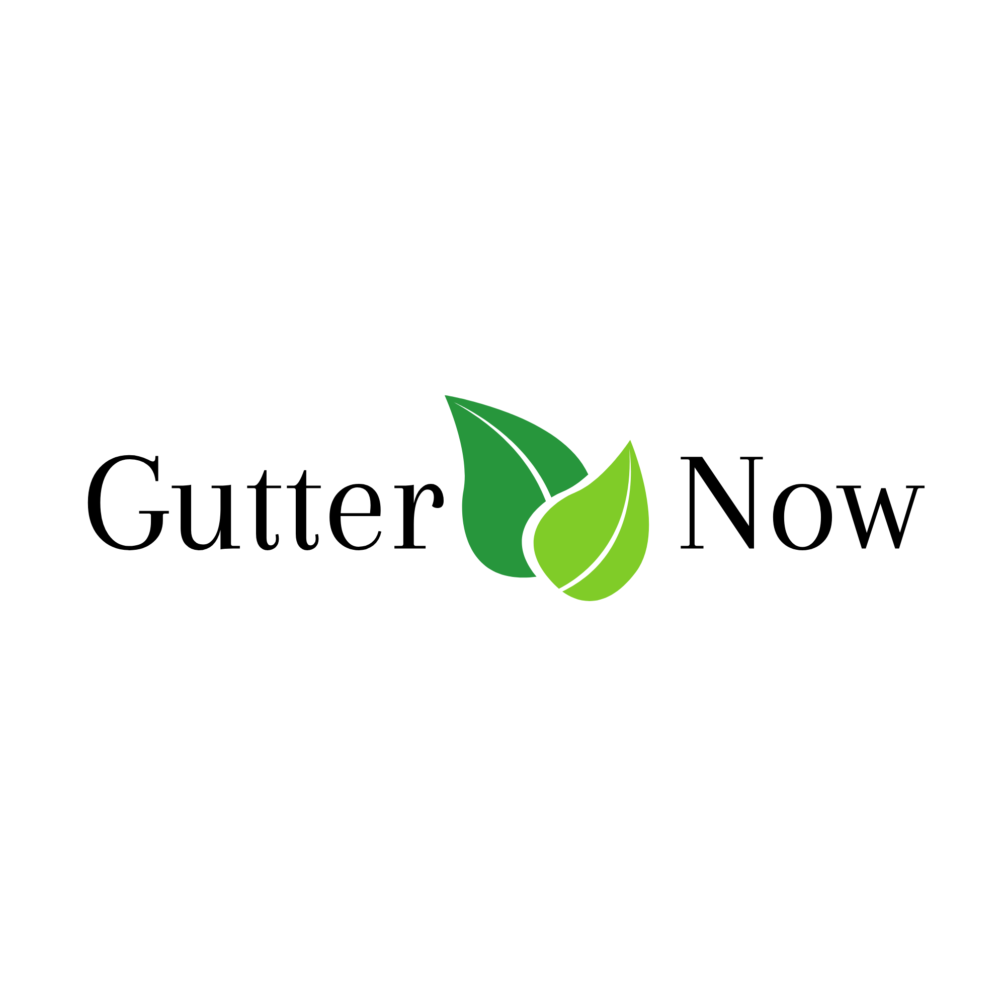 Logo for Gutter Now