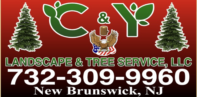 Avatar for C & Y Landscape and Tree Services LLC