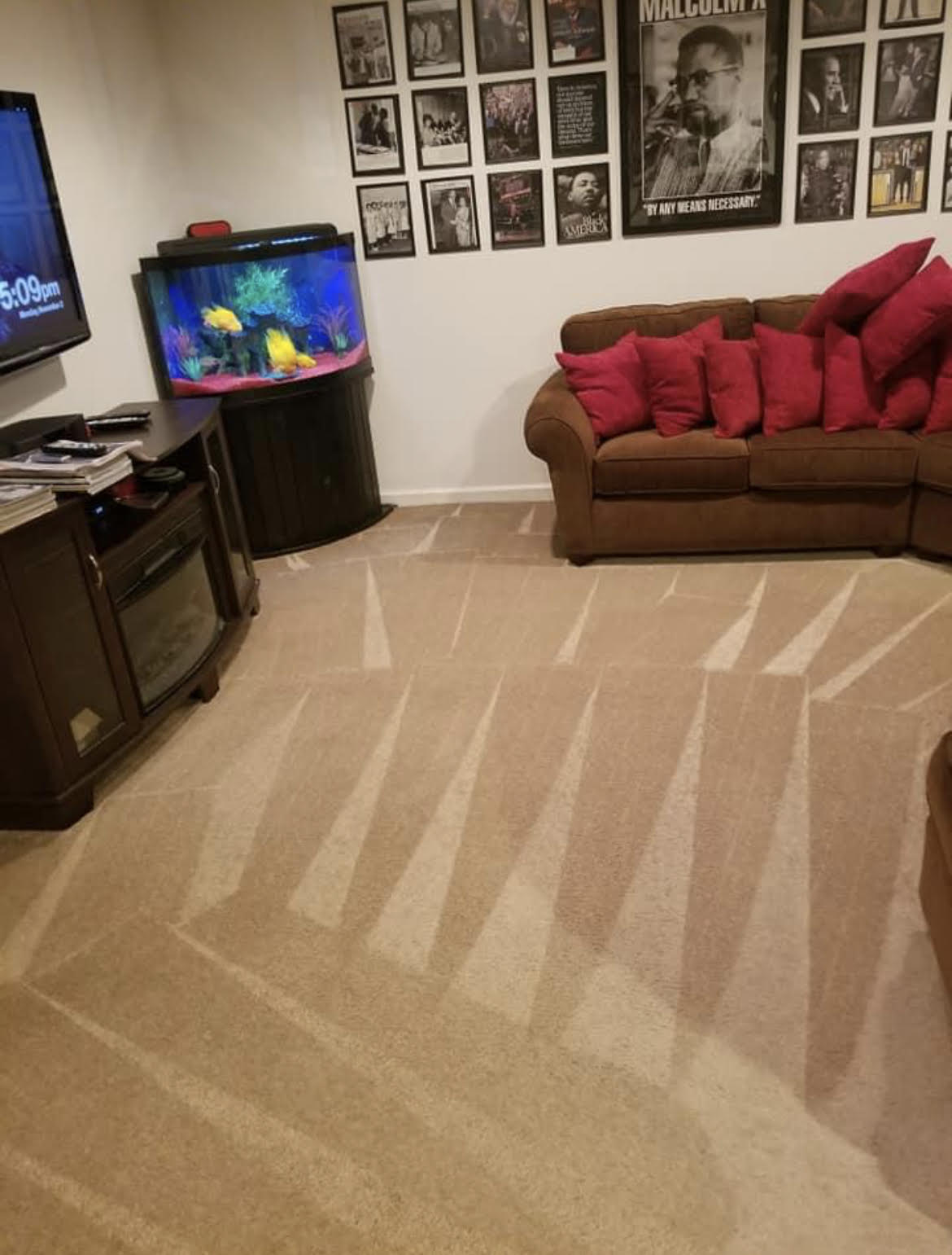 Avatar for All American Carpet Cleaning LLC