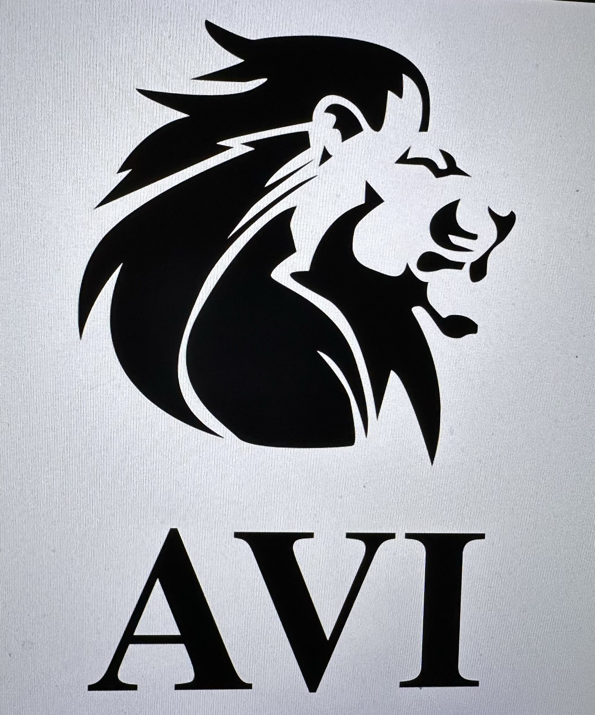 Logo for AVI Construction & Services LLC