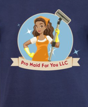 Logo for Pro Maid For You