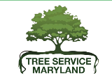 Avatar for Tree Service Maryland