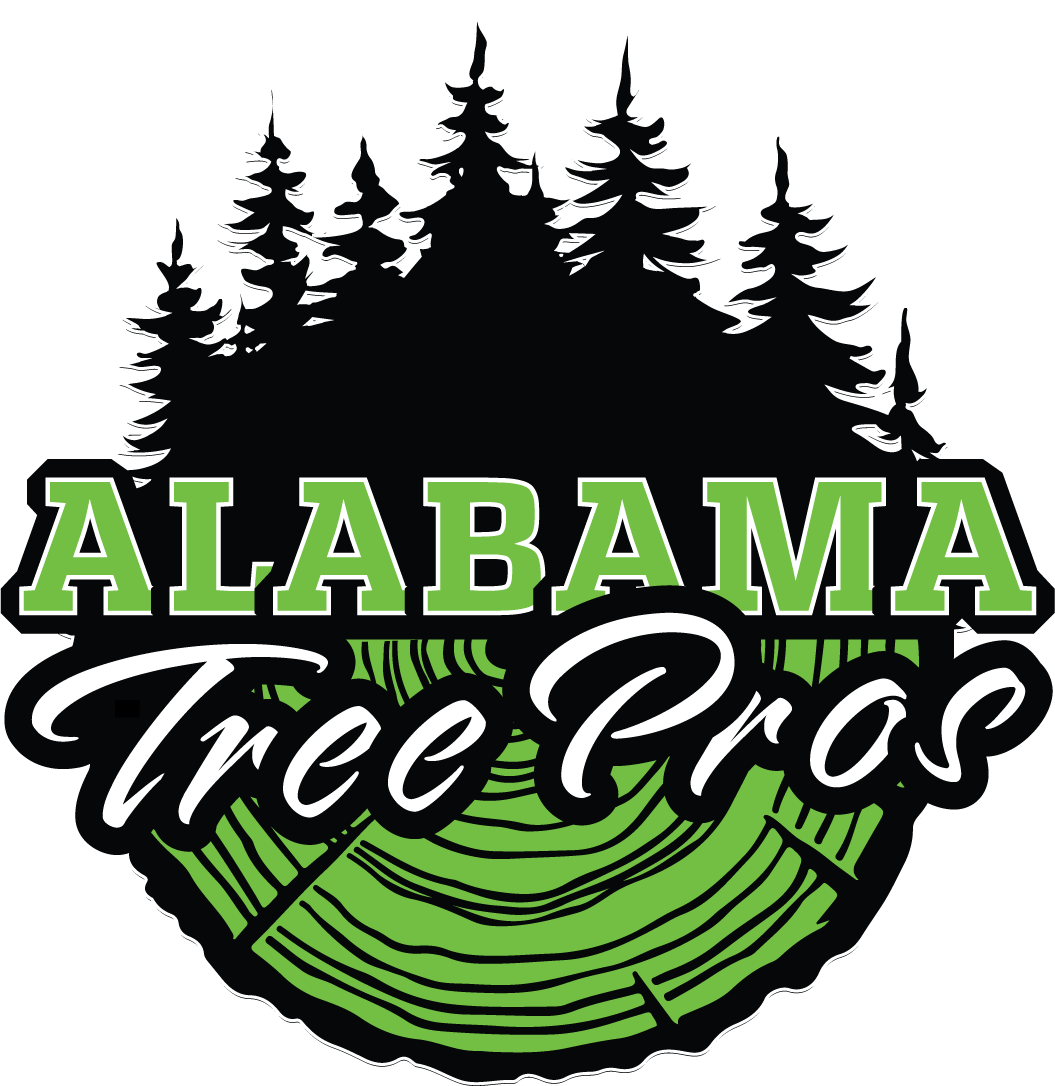 Attractional Marketing logo