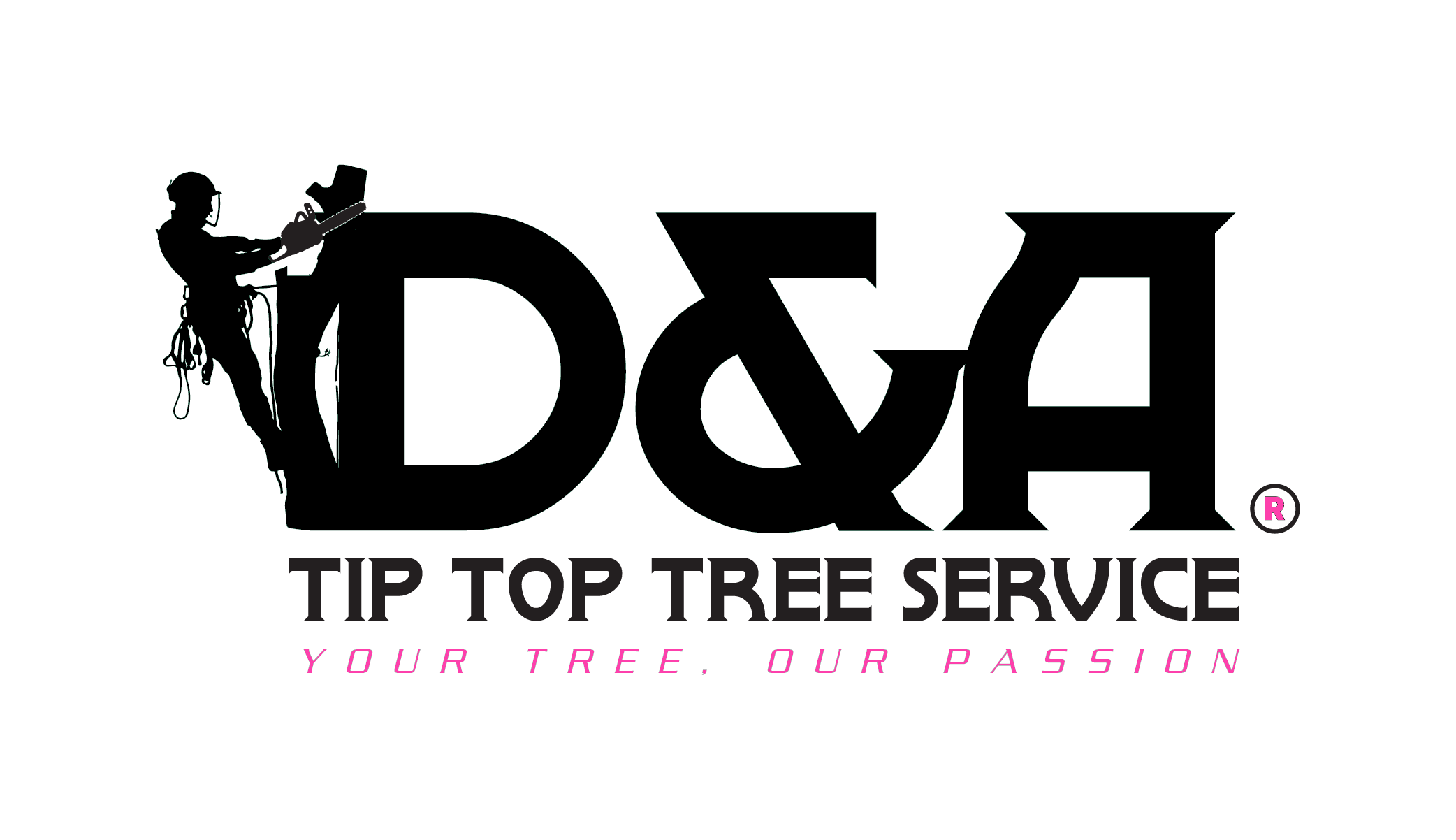 Avatar for D & A Tip Top Tree Trimming