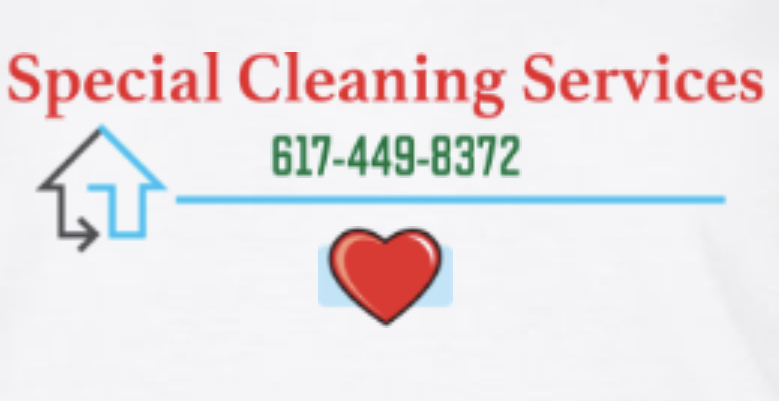 Special cleaning services logo