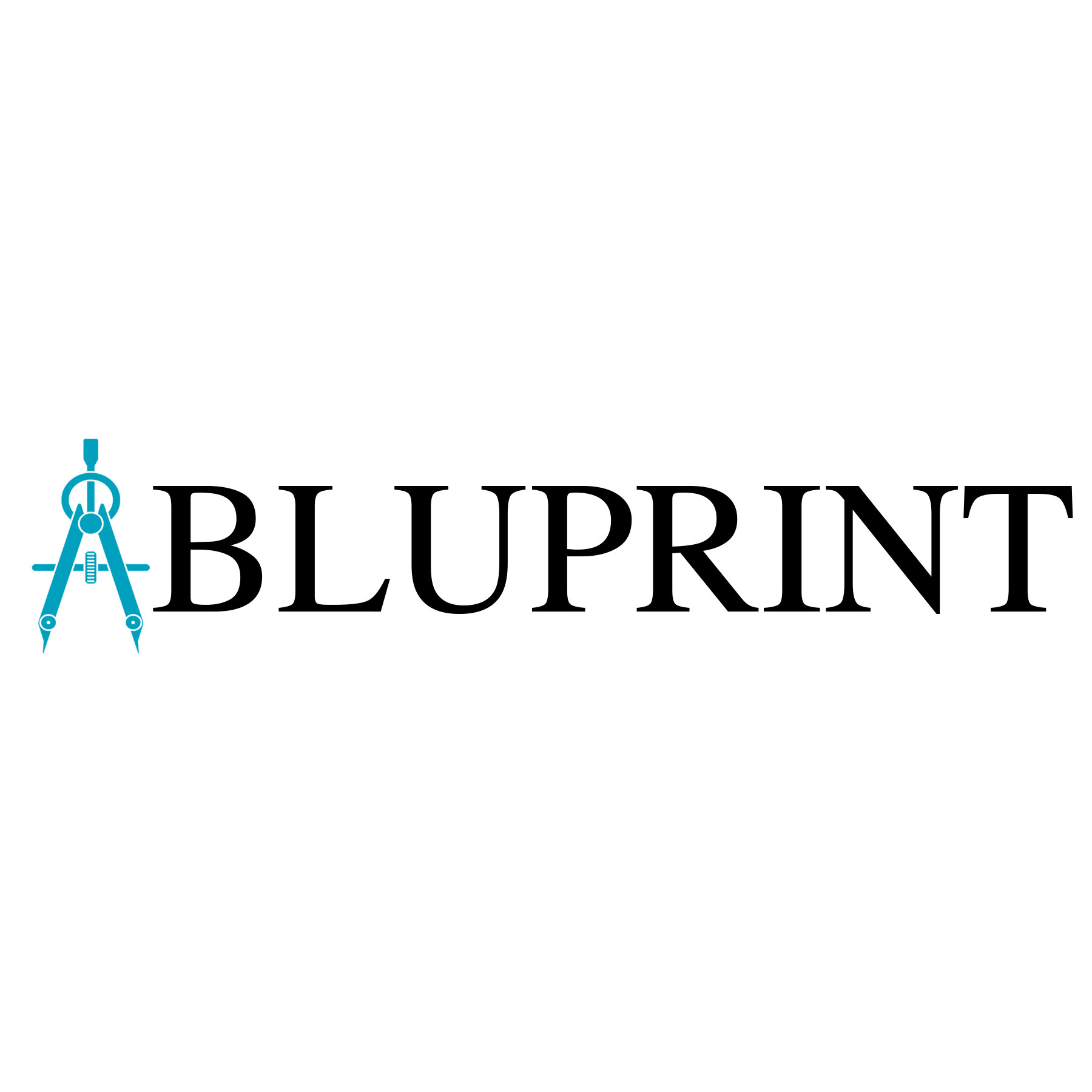 BluPrint Construction, LLC logo