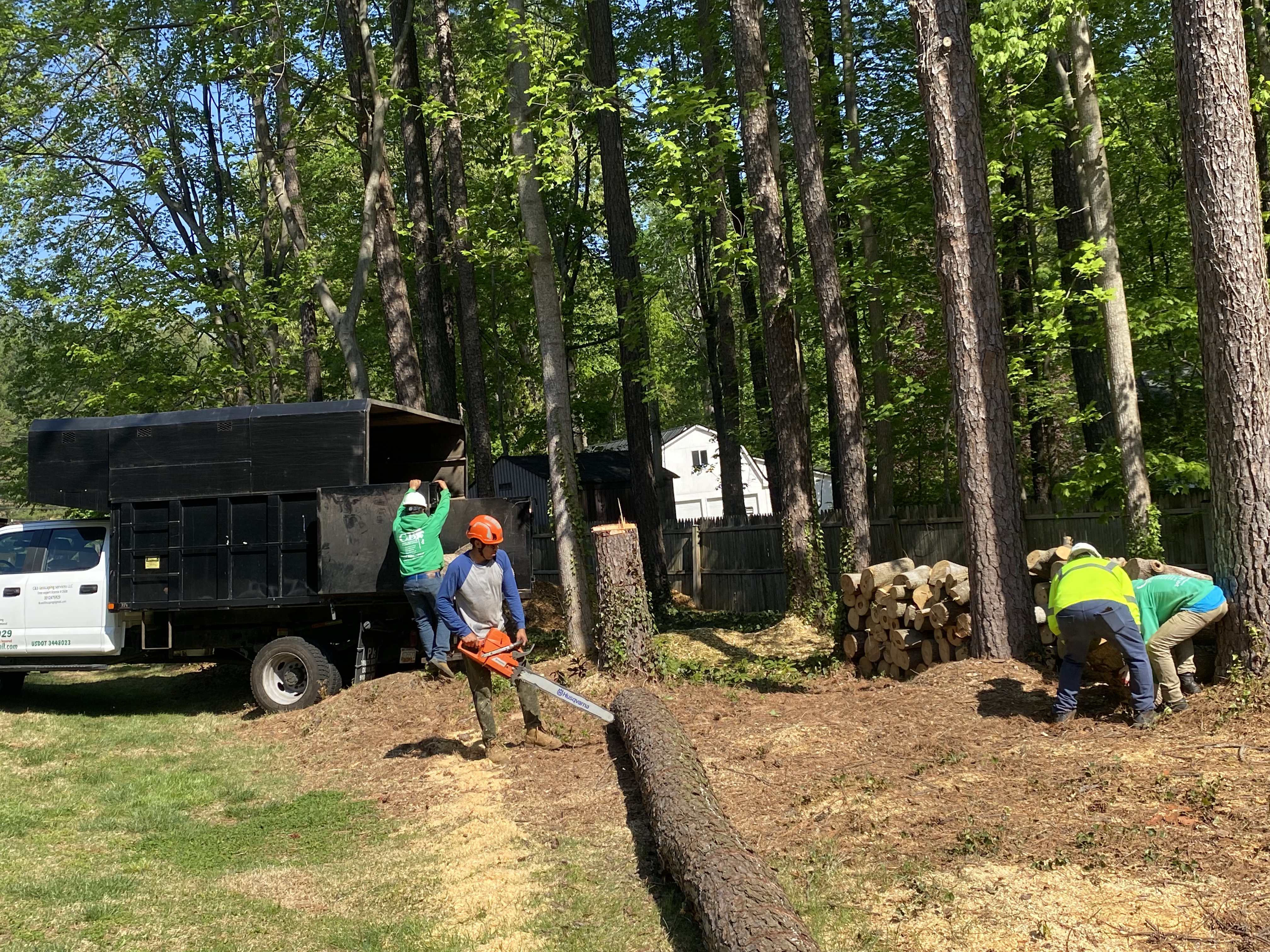 Avatar for C&B Tree Service