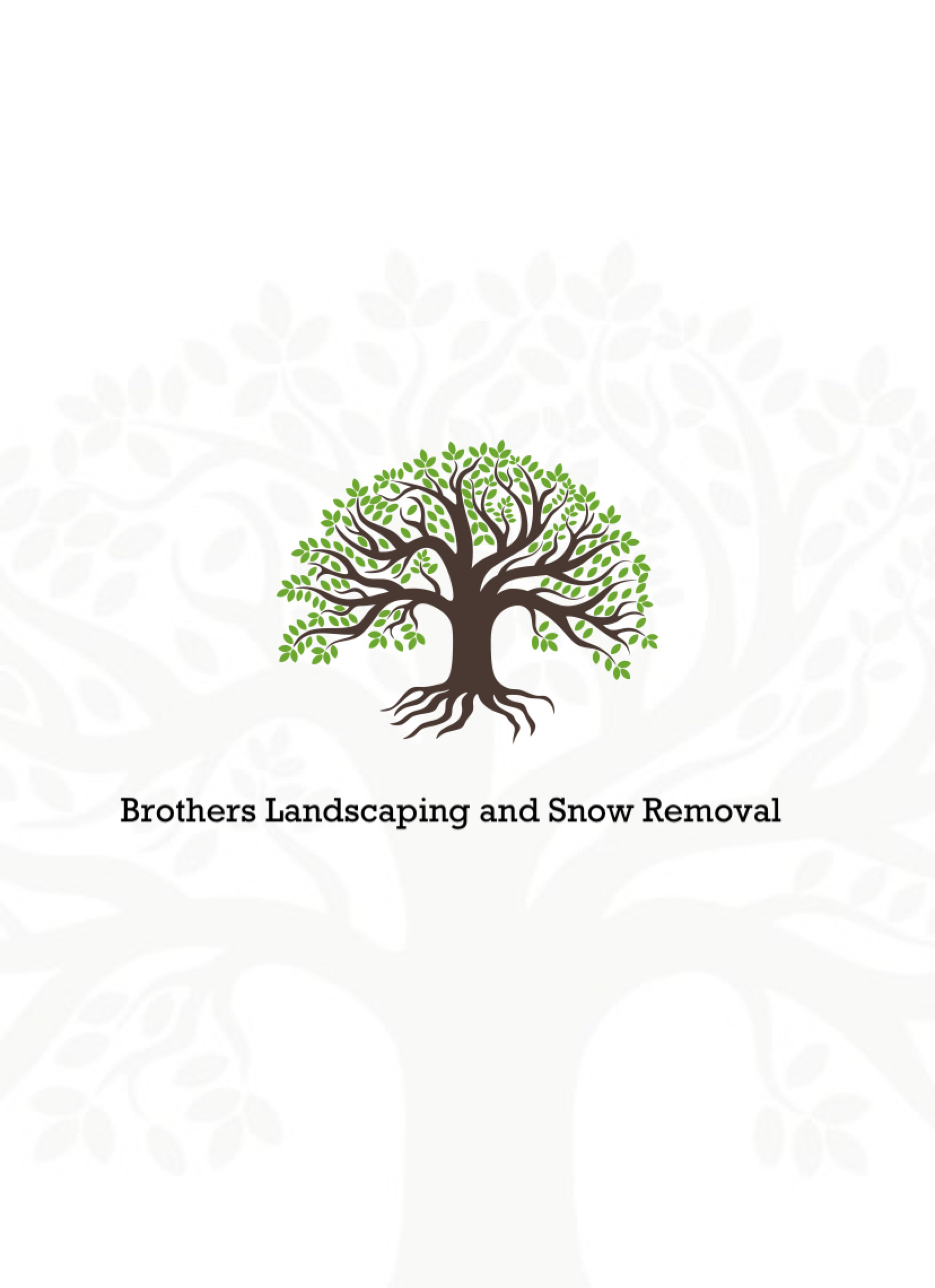 Avatar for Brothers Landscaping