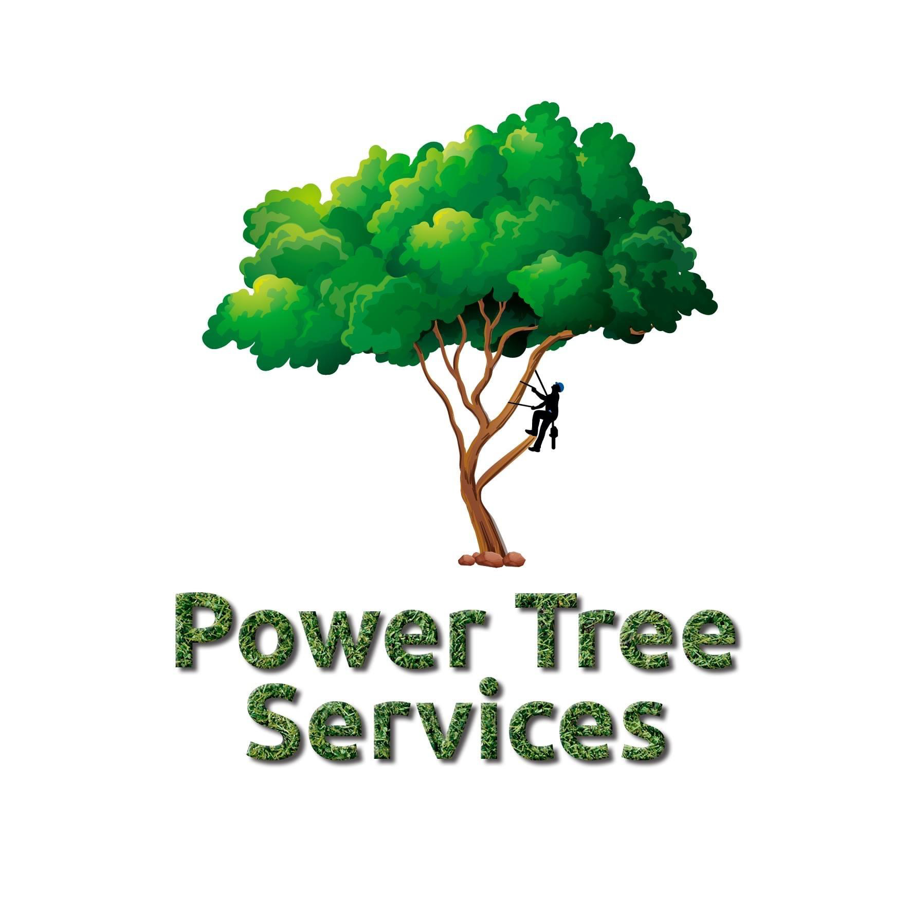 Avatar for Power tree services
