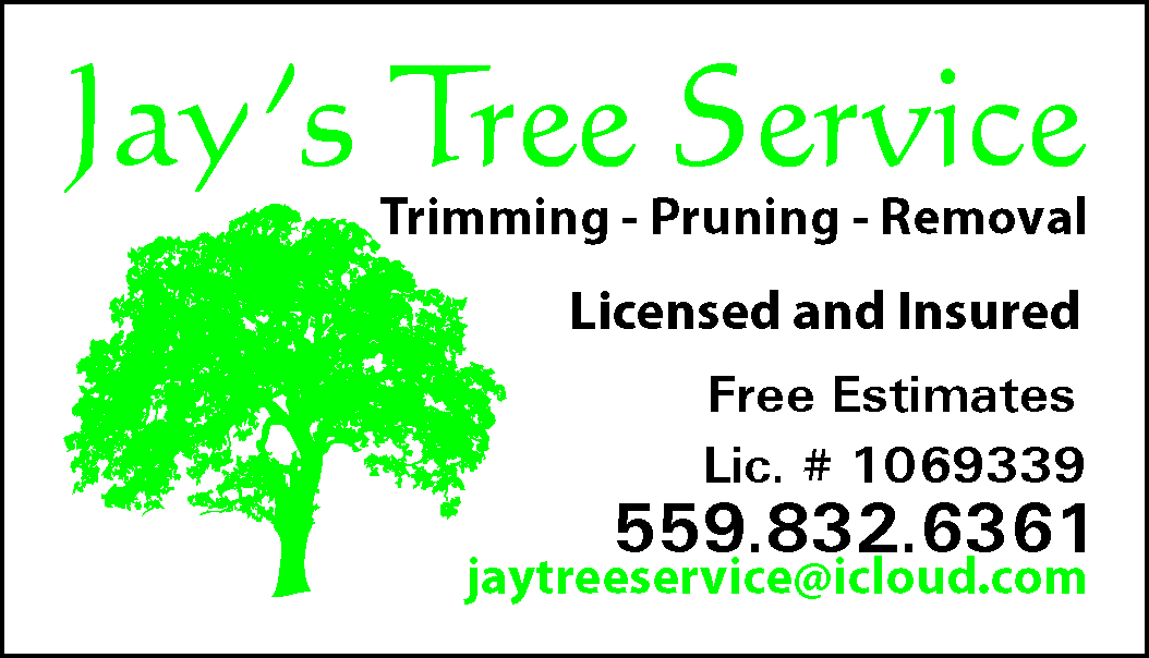 Jay's Tree Service logo