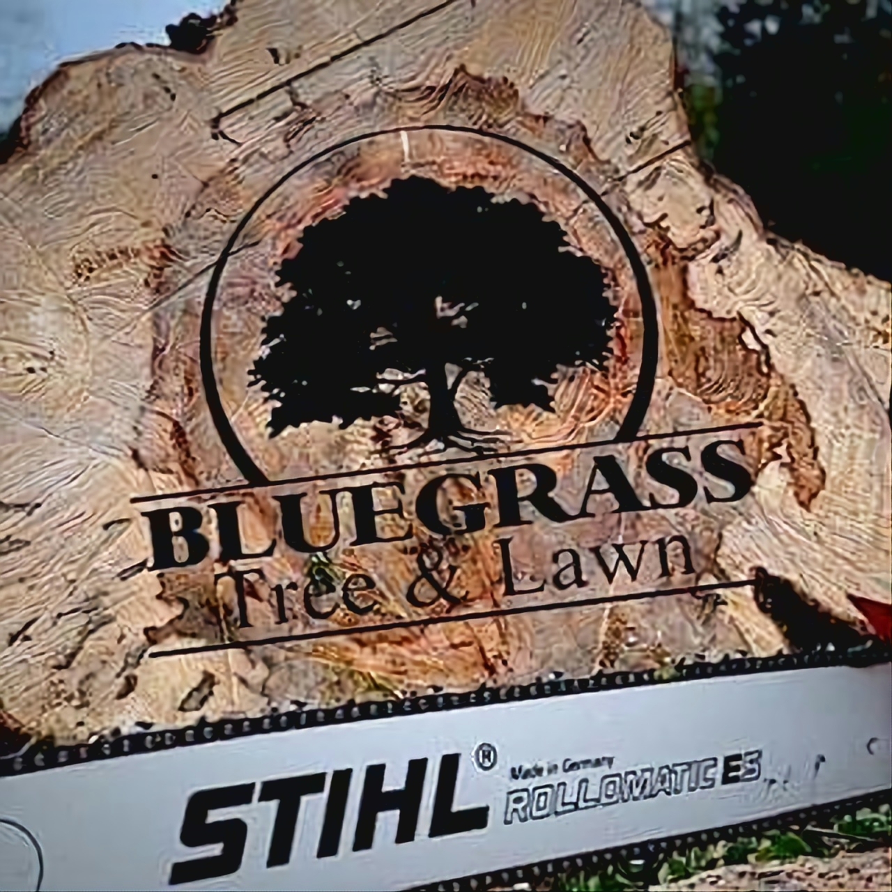 Bluegrass Tree & Lawn logo