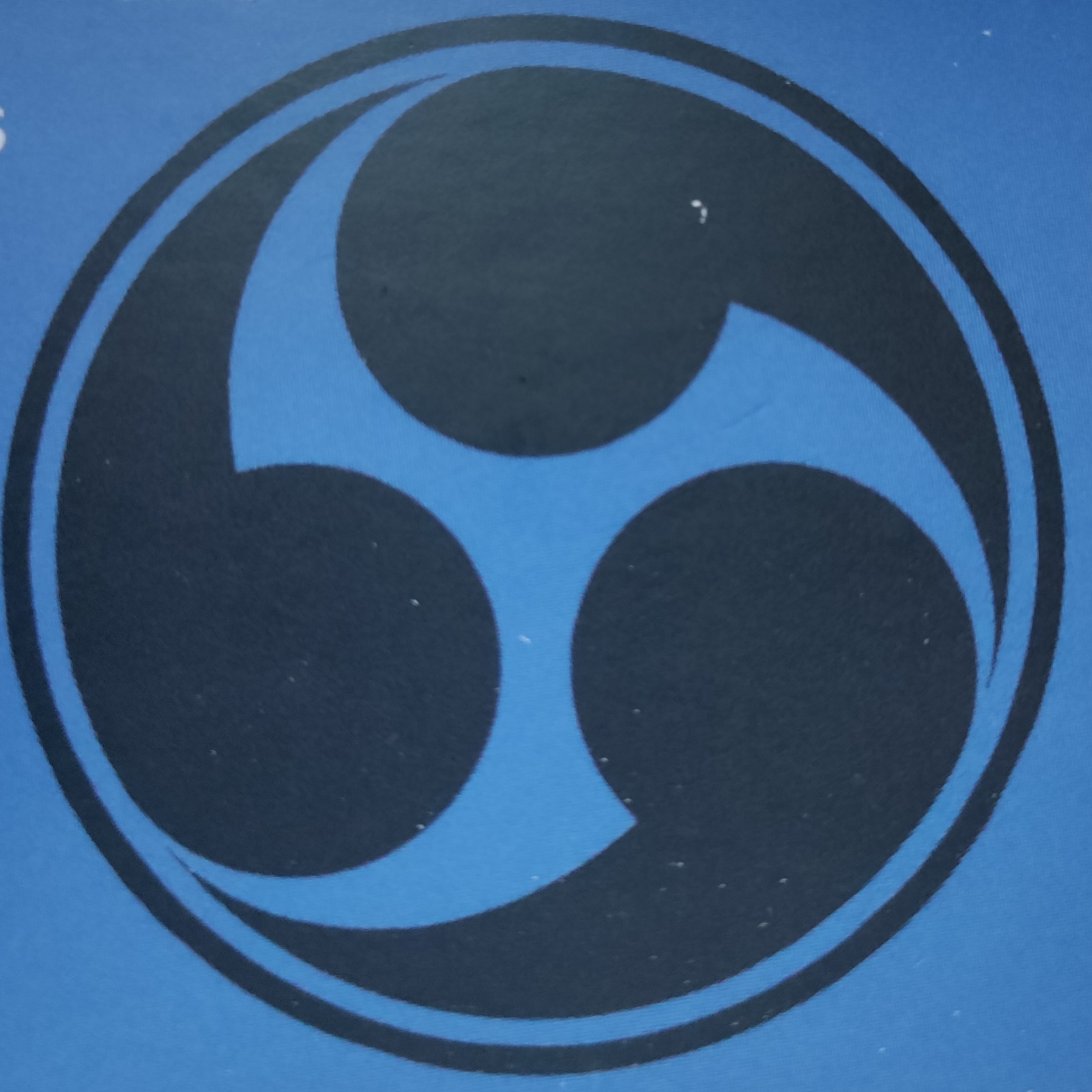 Logo for Raijin Electric