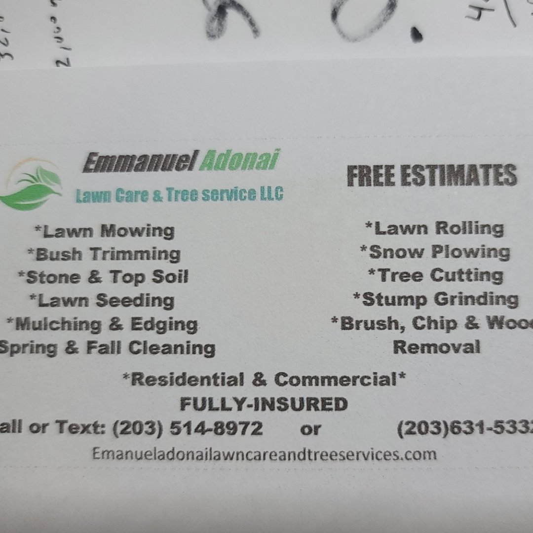 EMMANUEL ADONAI LAWN CARE AND TREE SEVICES LLC logo