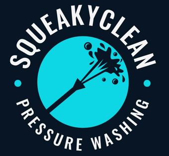 Avatar for Squeaky clean pressure washing service