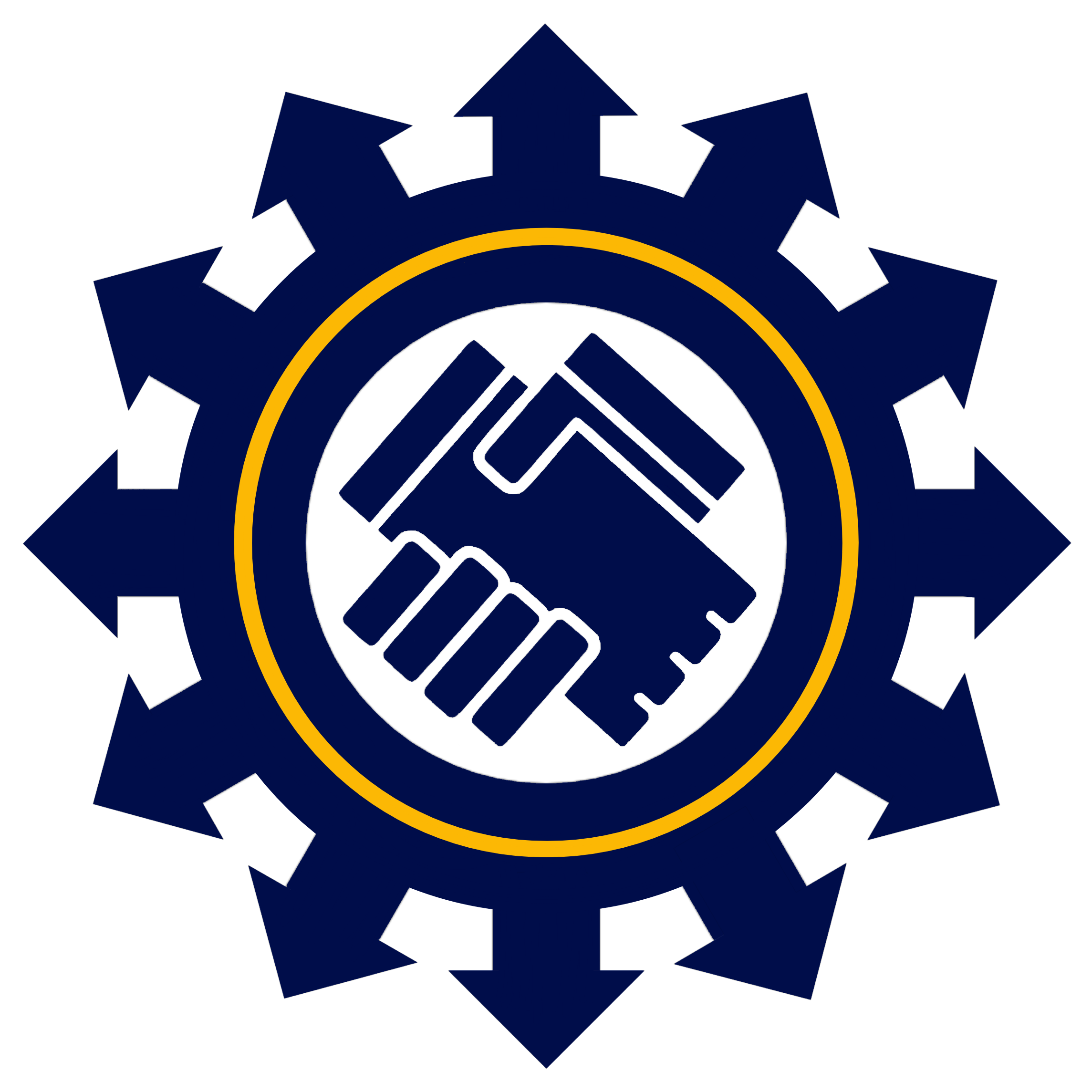 Versatile Solutions and Services logo
