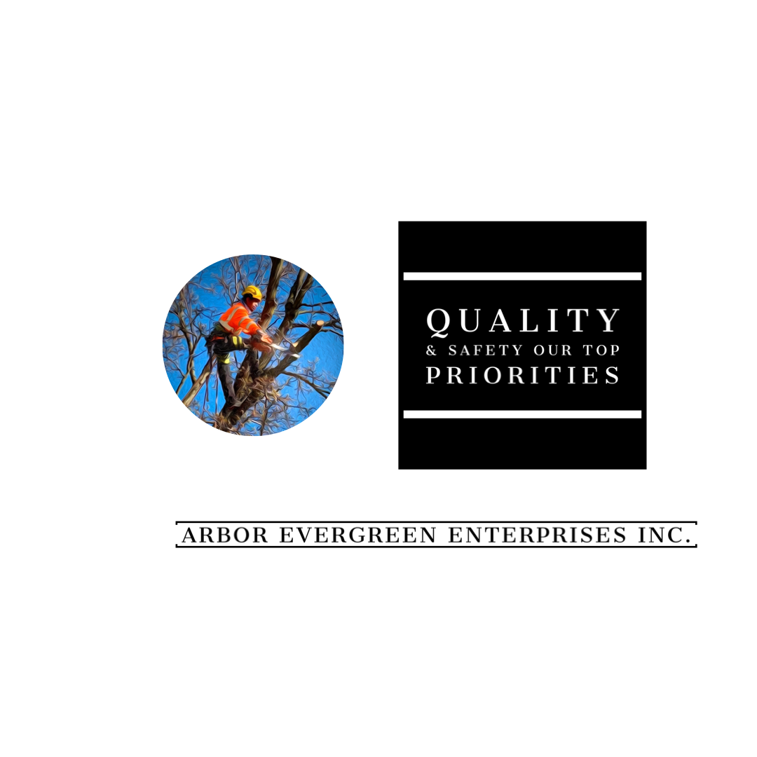 Avatar for Arbor Evergreen Enterprises