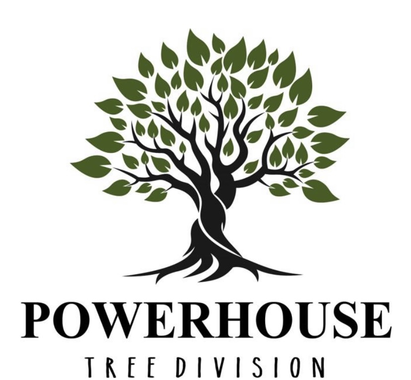 Powerhouse Home Improvements L.L.C logo