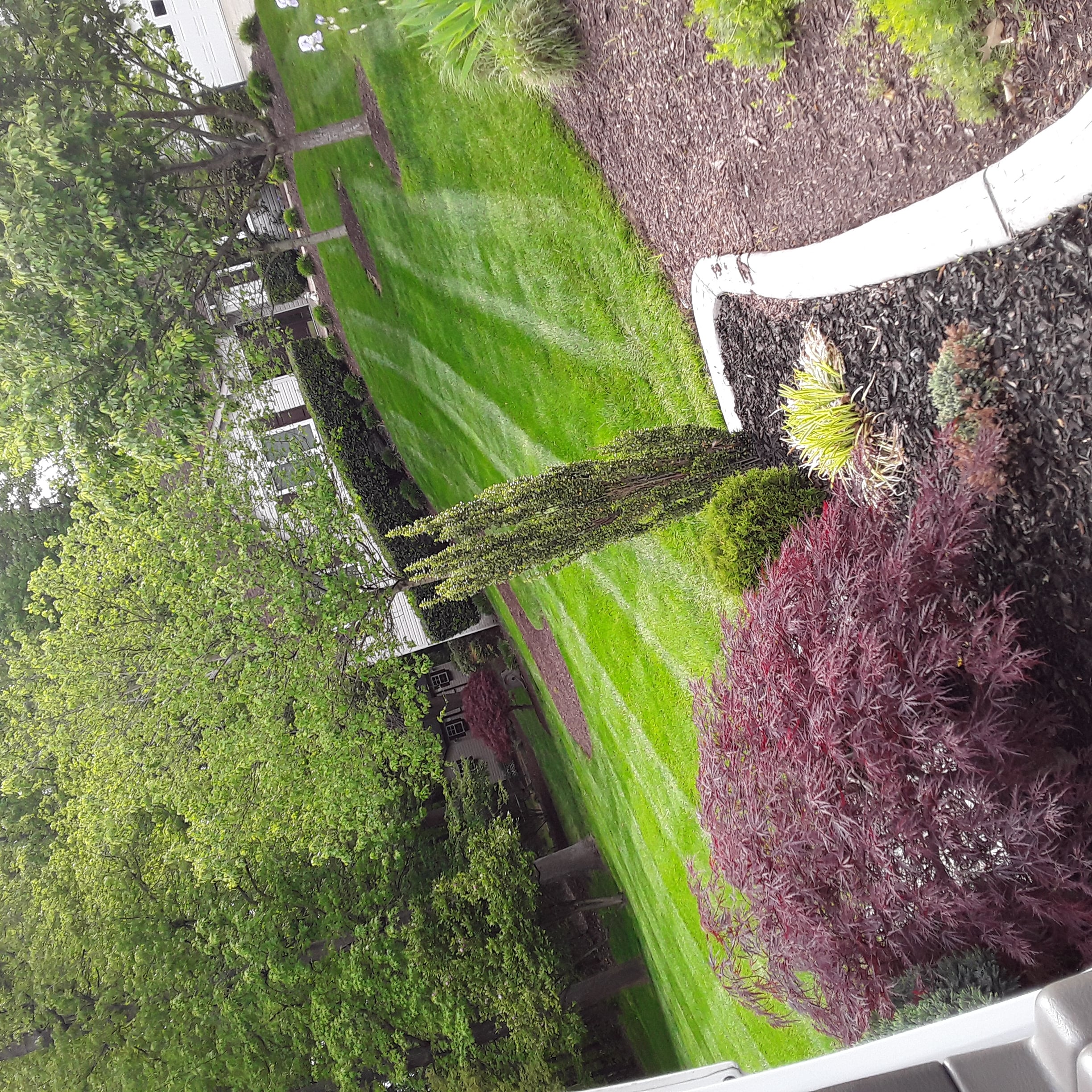 Avatar for Herrera Reyes Landscaping llc