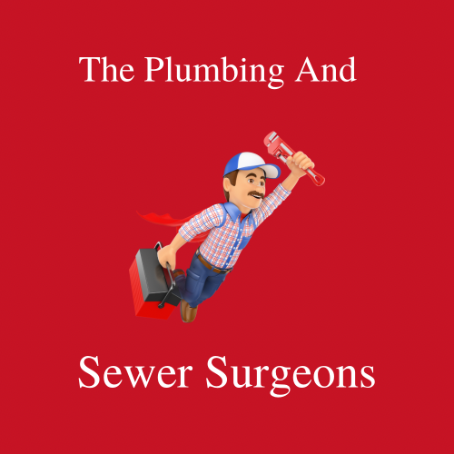 Avatar for The Plumbing & Sewer Surgeons