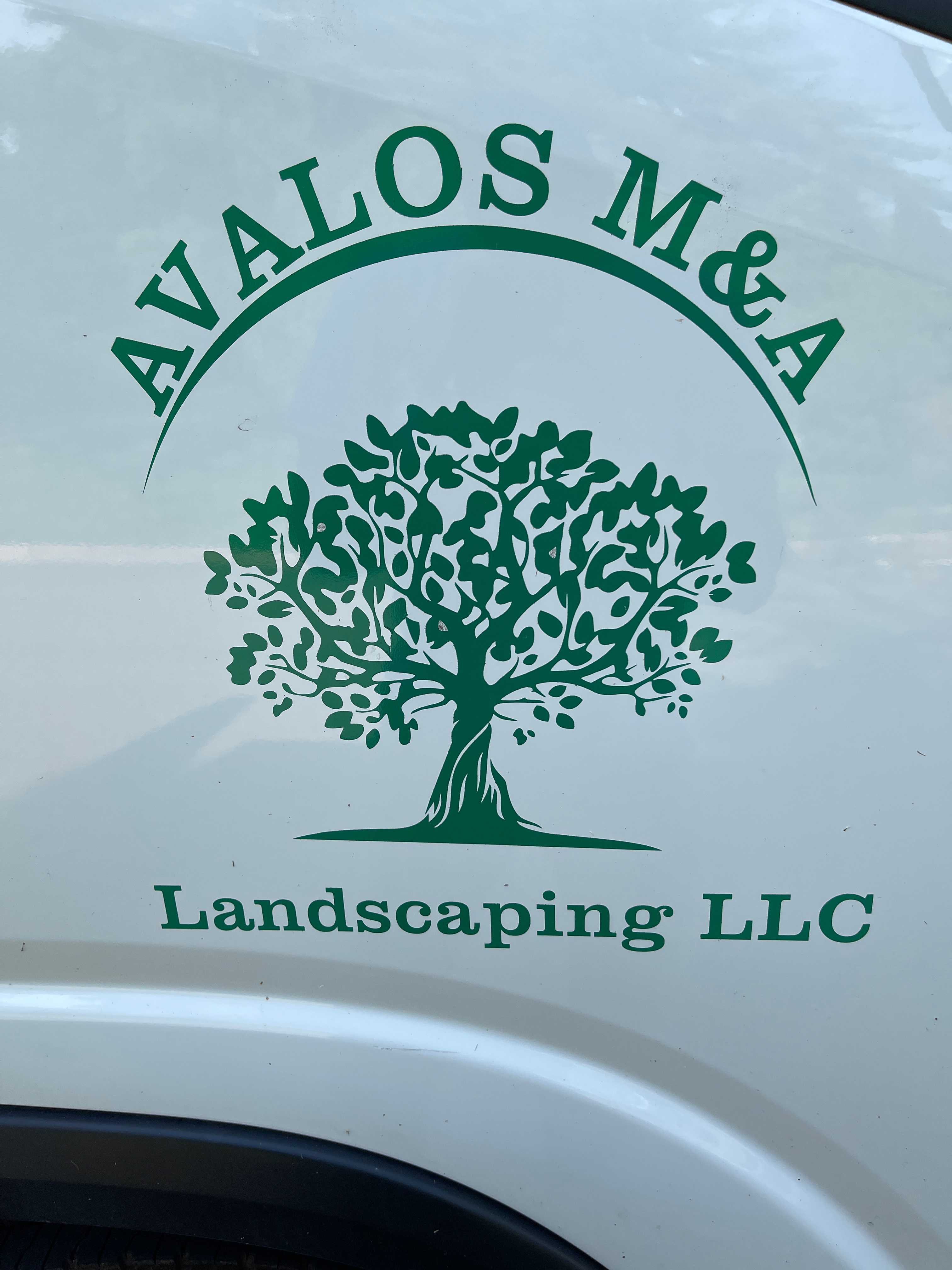 Avatar for Avalos M&A Landscaping and tree service
