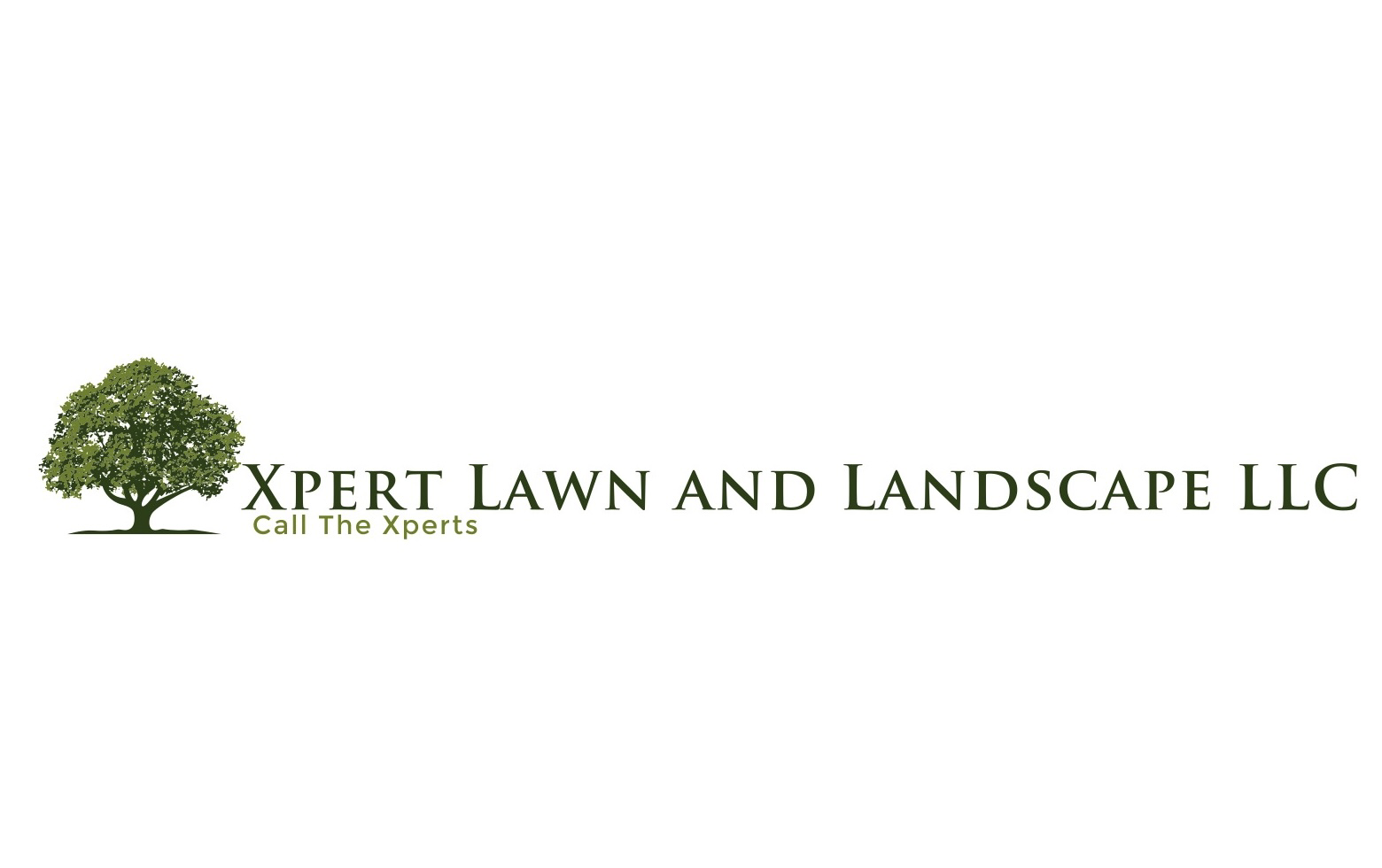 Avatar for Xpert Lawn and Landscape LLC