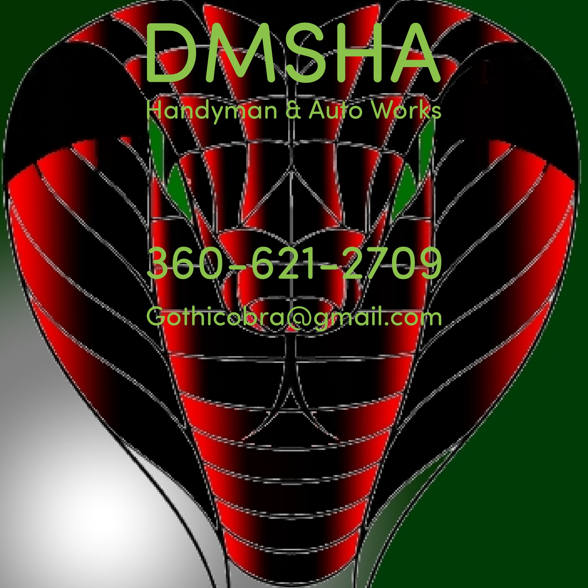 Logo for DMSHA