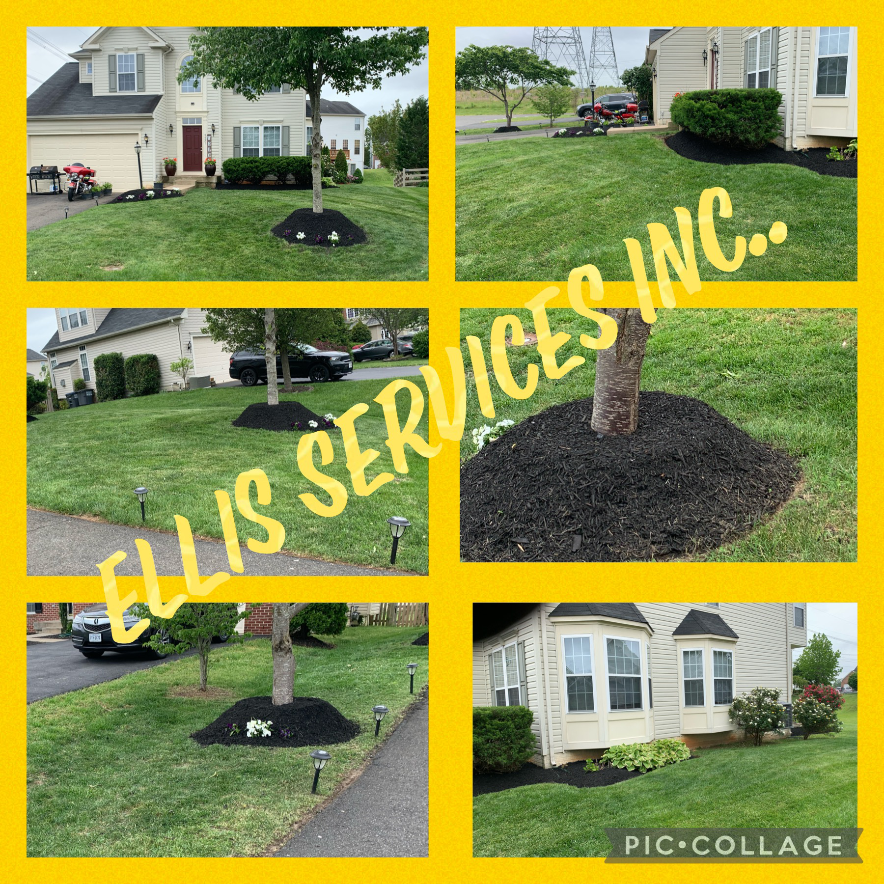 Ellis Services Inc logo