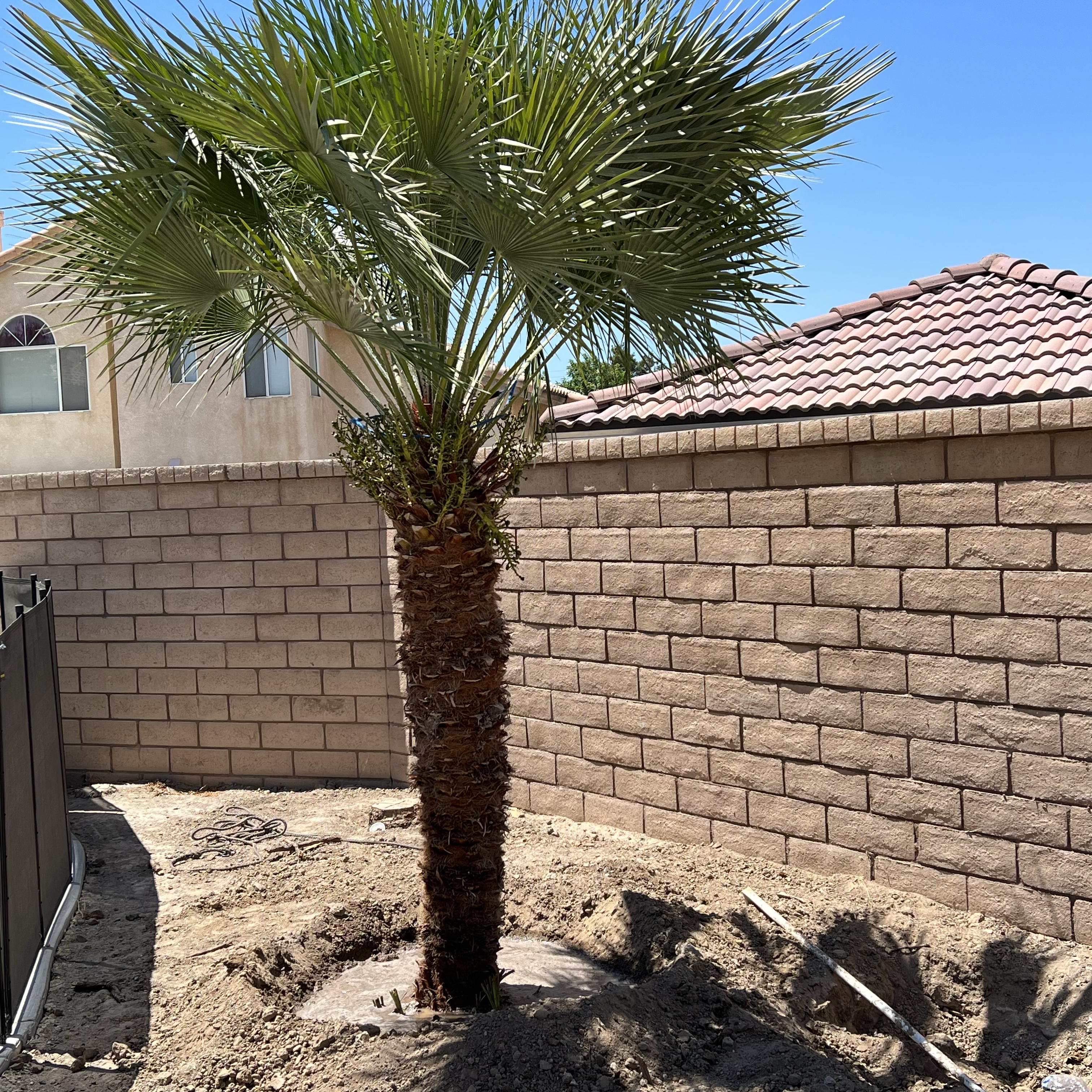 Avatar for Barcenas Tree Service