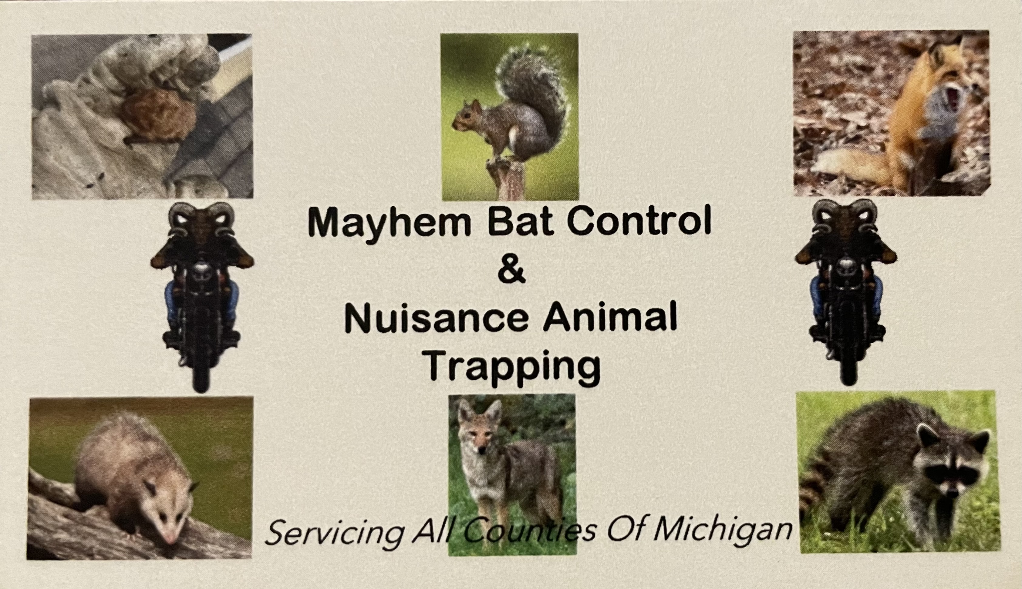 Mayhem Bat Control & Nuisance Animal Trapping, LLC logo