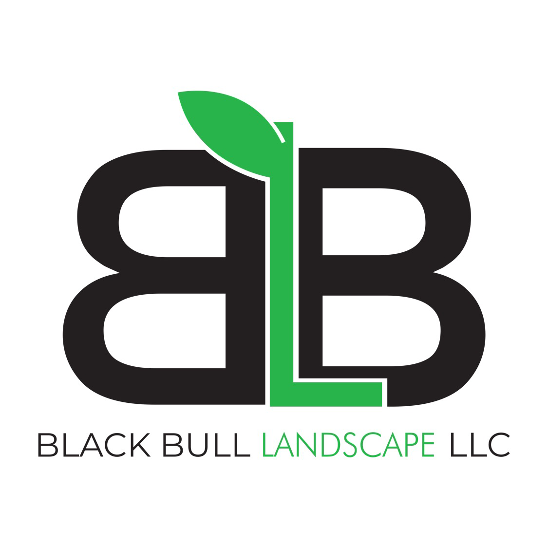 Black Bull Landscape LLC logo