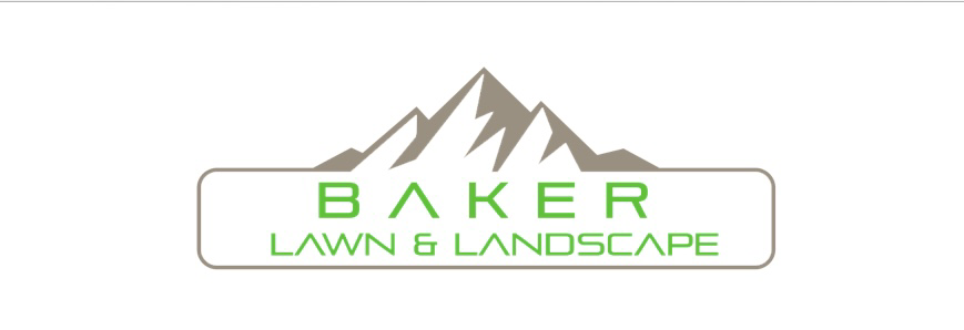 Avatar for Baker Lawn & Landscape