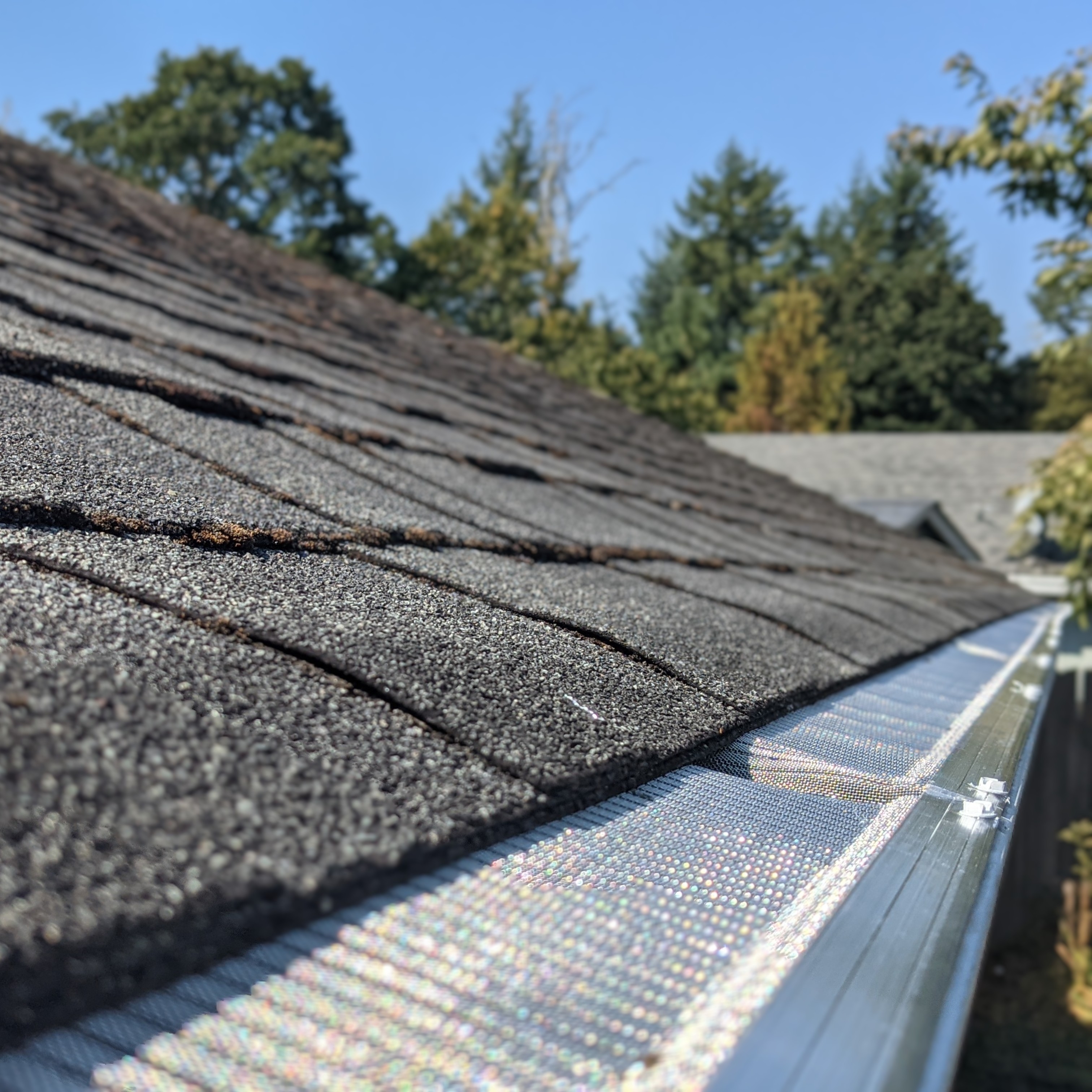 2Pines - Gutter Guards and Cleaning logo