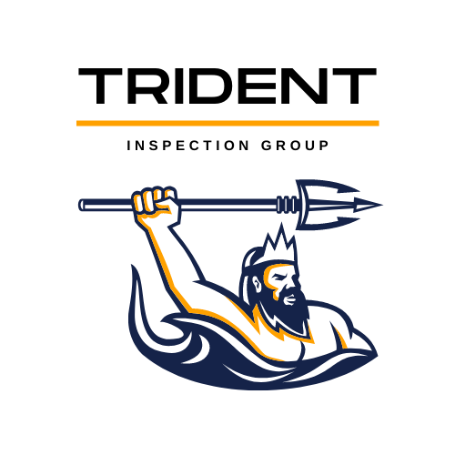 Trident Inspection Group logo