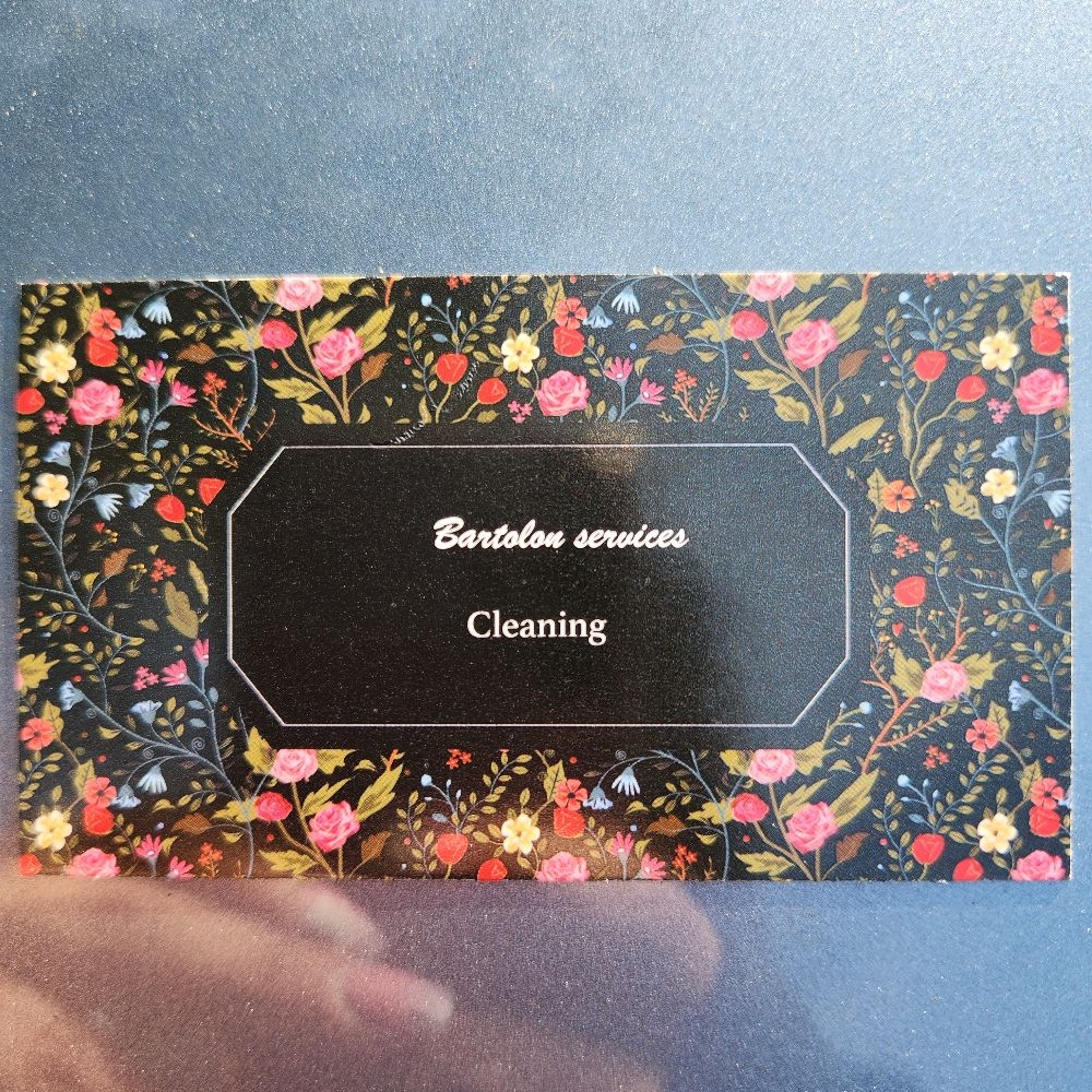Bartolon services cleaning logo