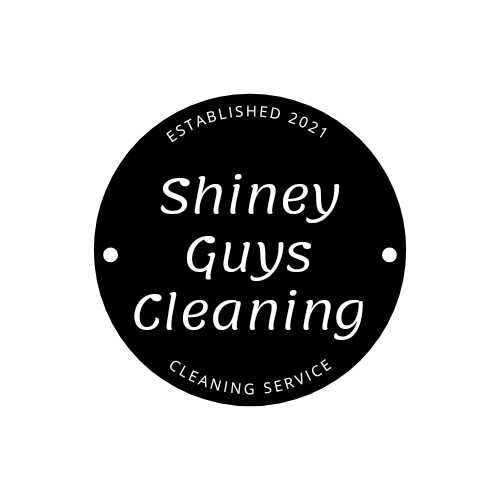 Shiney Guys Cleaning logo