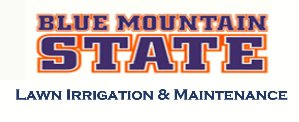 Avatar for The Blue Mountain State Lawn Irrigation & Maintenance