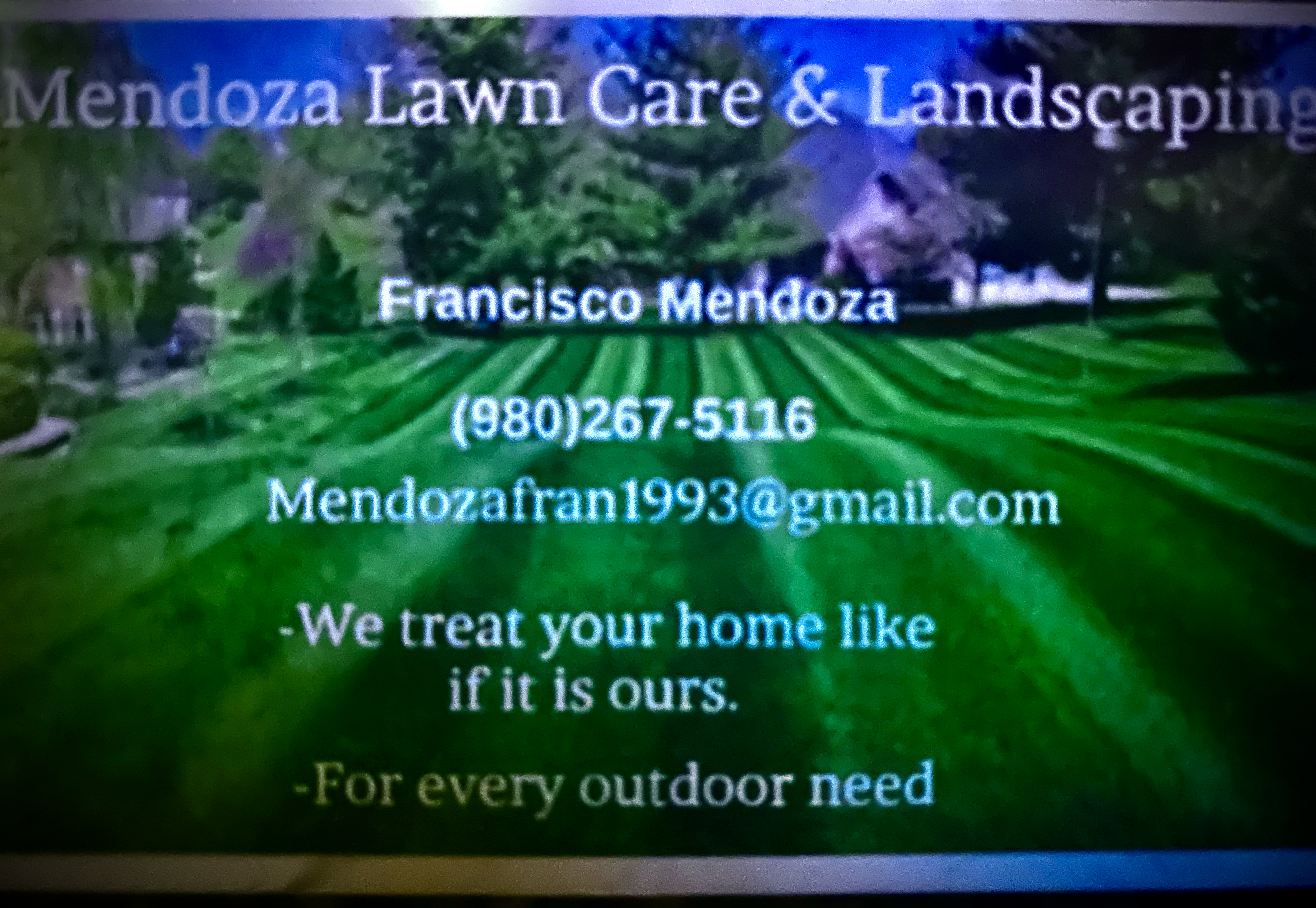 Mendoza lawn Care And Landscaping logo